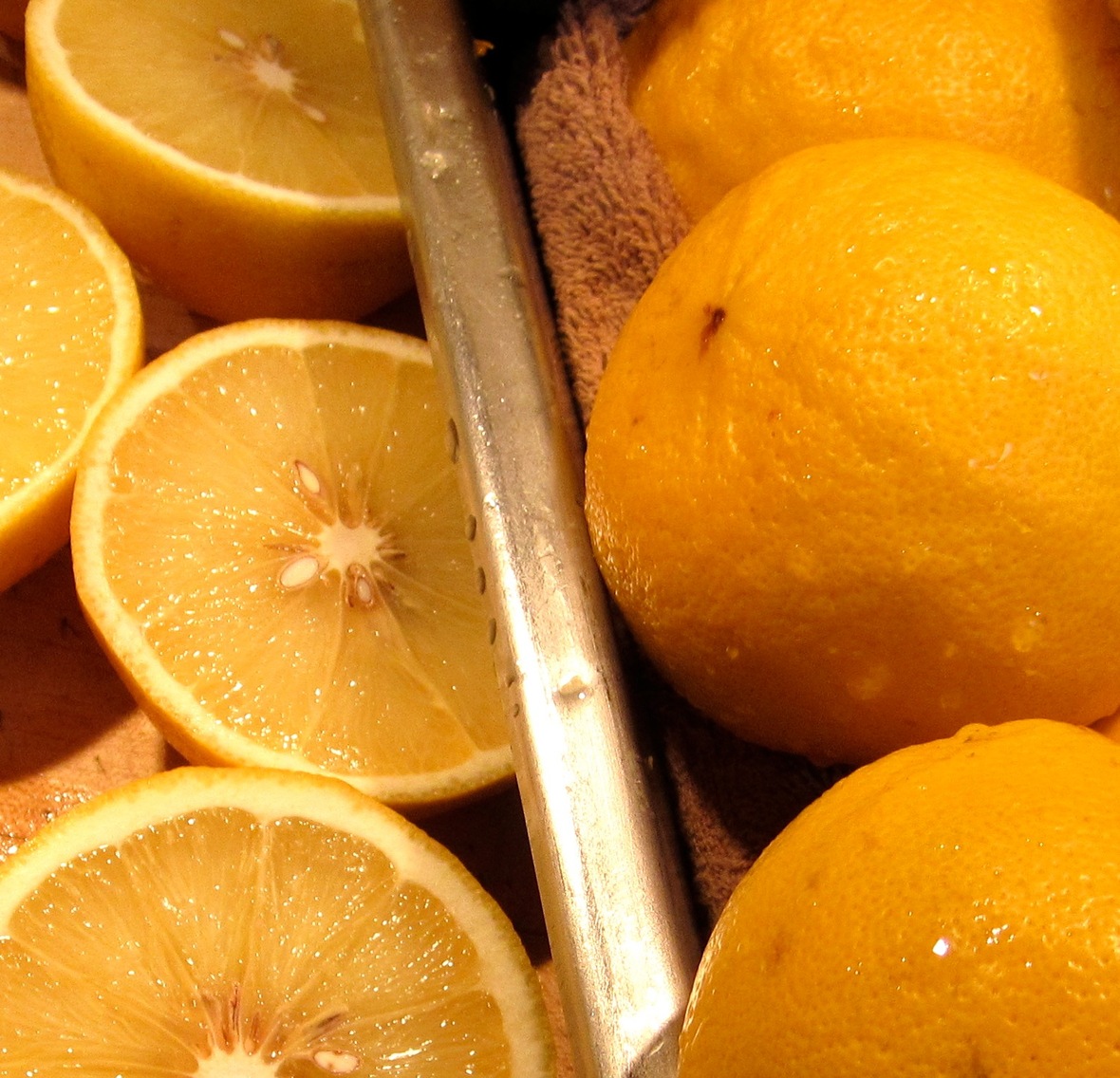 Shekwasha Citrus