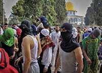 tm-terrorist-arrested-nwslttr