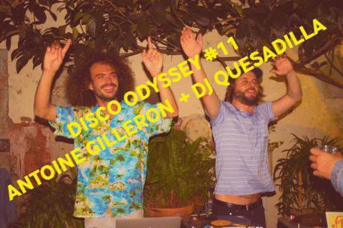 Animated GIF-downsized large 2 