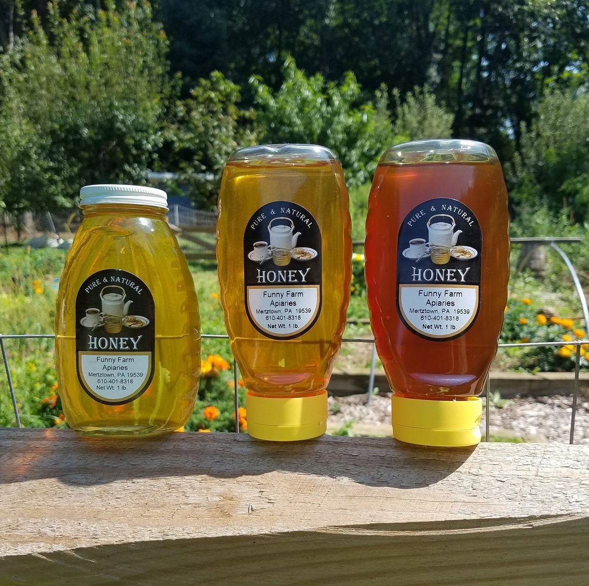 Downingtown Farmers Market Get your Memorial Day meal at the market