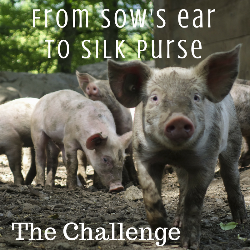 Turn your veterinary practice from a sow's ear to a silk purse