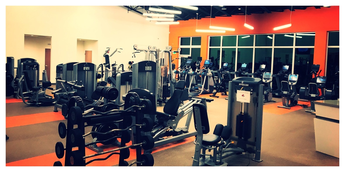 July ENews Celebrate Parks and Recreation Month with the Village of Pinecrest