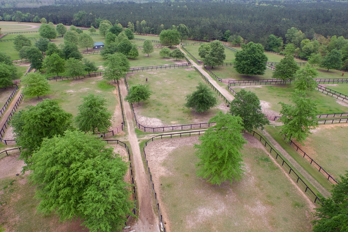 Just Listed Bridlewood Farm Aiken's Premier Equine Facility