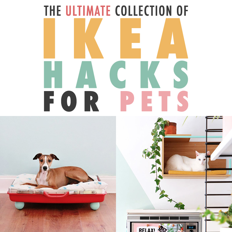 The Ultimate Collection of IKEA Hacks For Pets!