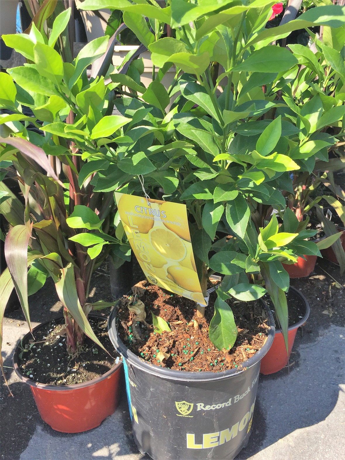 Everything for Fall at Klein