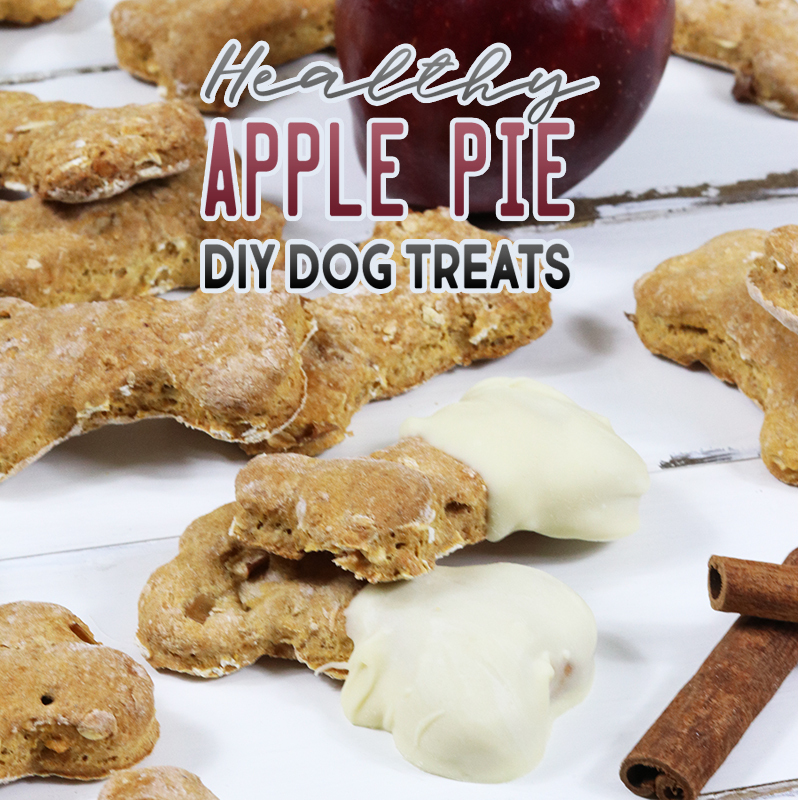Apple Pie Dog Treats and Fun Filled Activities for you and your dog!