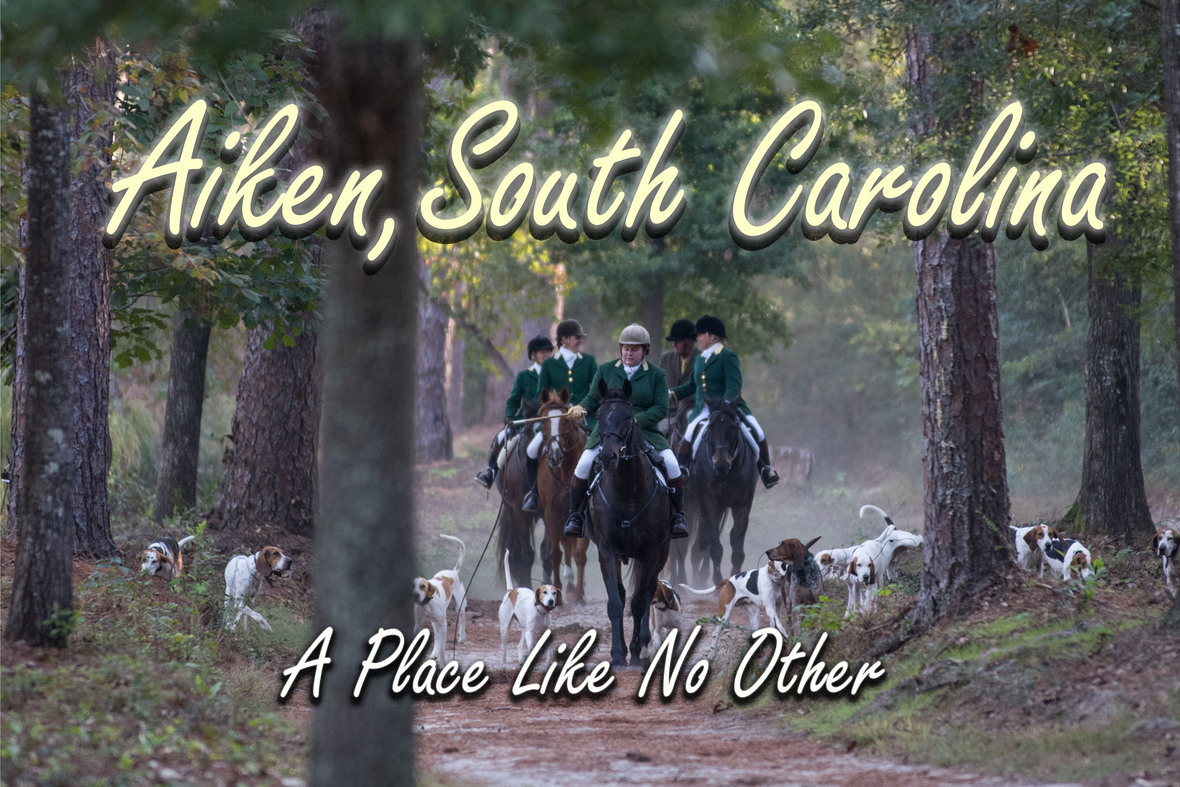 aiken-in-november-2018