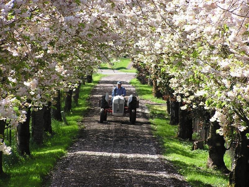 NEW LISTING ON SAUVIE ISLAND RIVER ISLAND REFUGE HOSTED OPEN TUES 12/