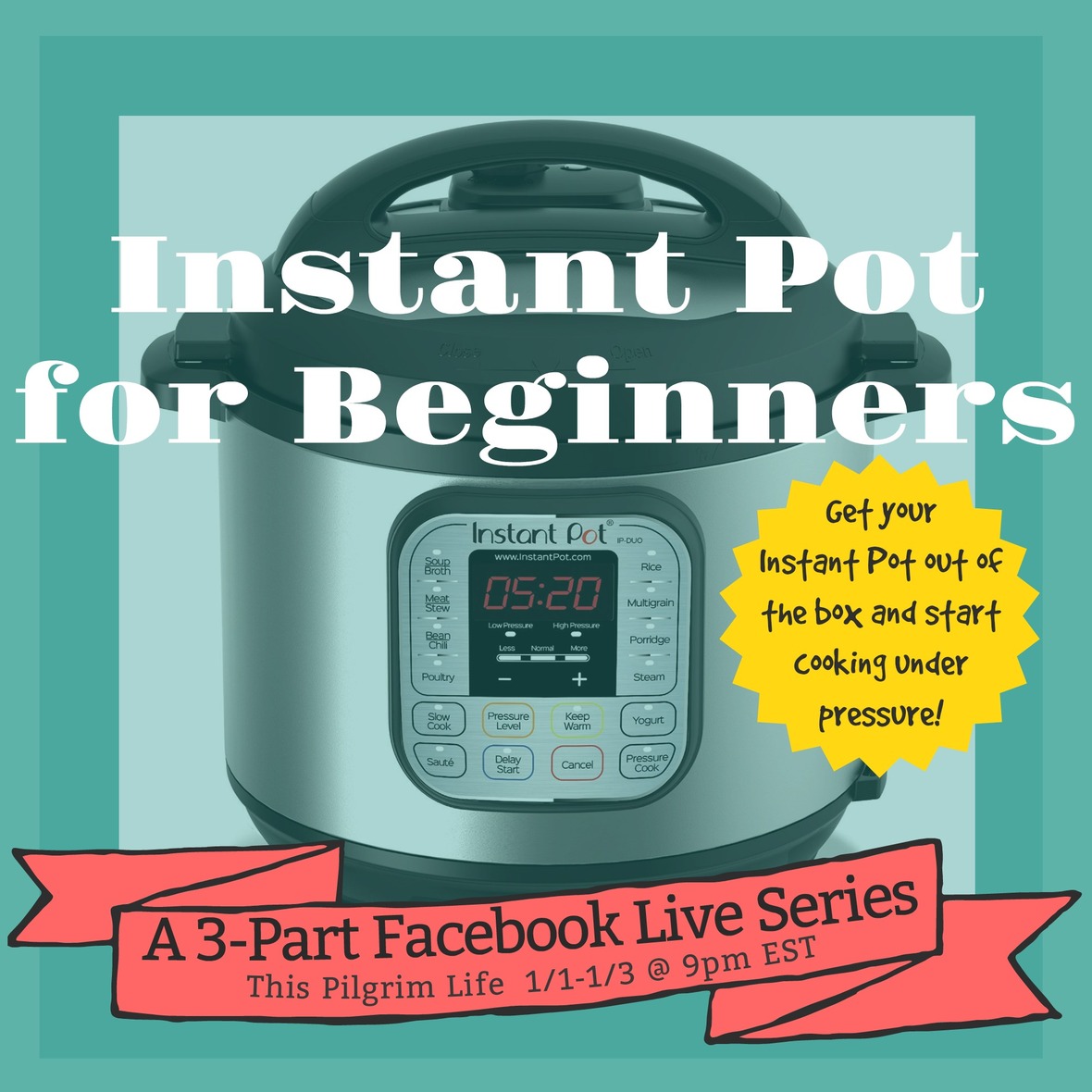 Hey there Instant Pot owner...this is for you!