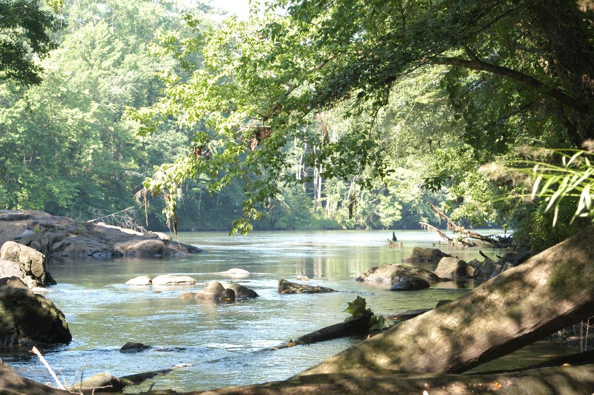saluda shoals