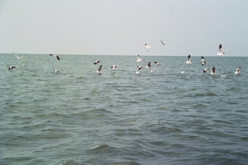 20 0657