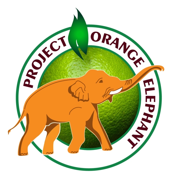 LOGO ORANGE Very Final