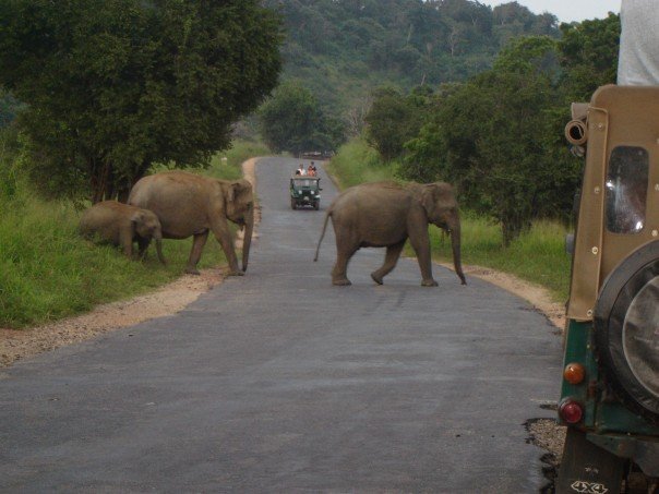 srilanka11
