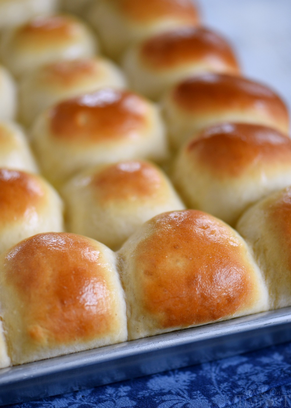 The BEST Dinner Rolls of Your Life. Seriously.