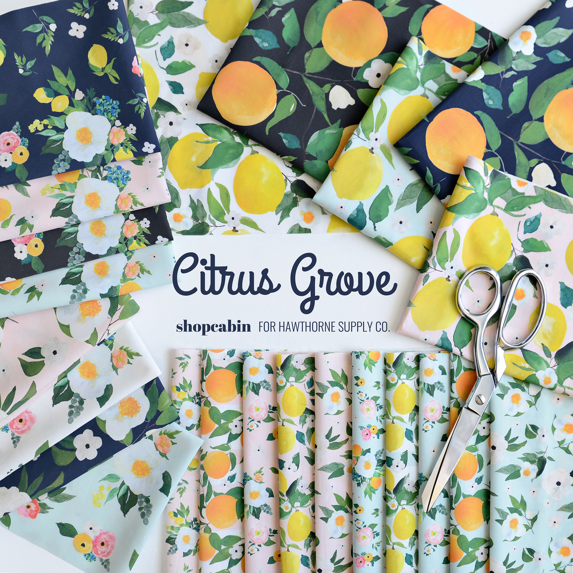 New at Hawthorne Supply Co.!