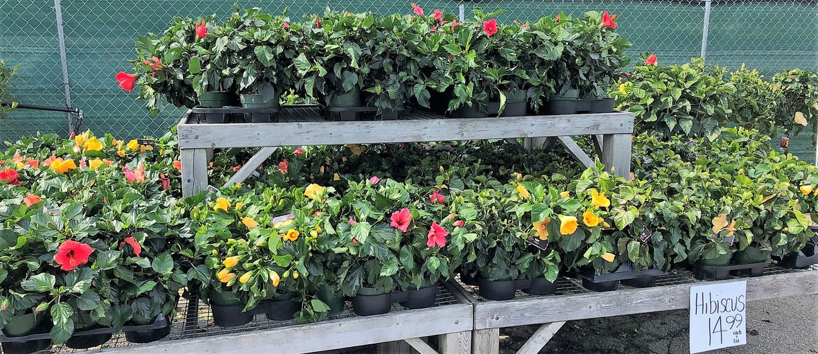 Massive Selections at Klein