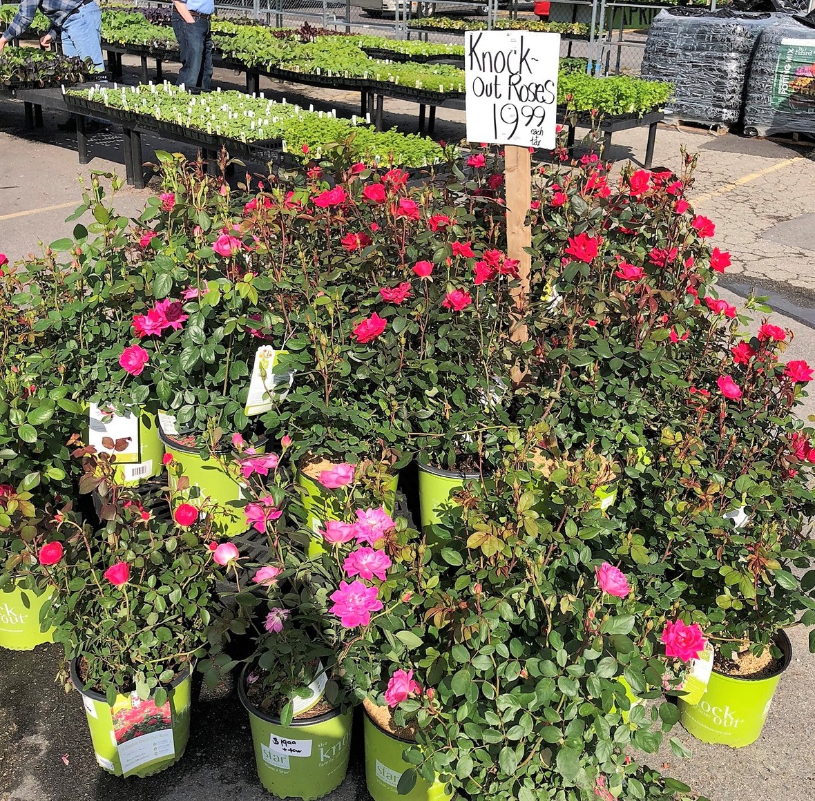 Massive Selections at Klein