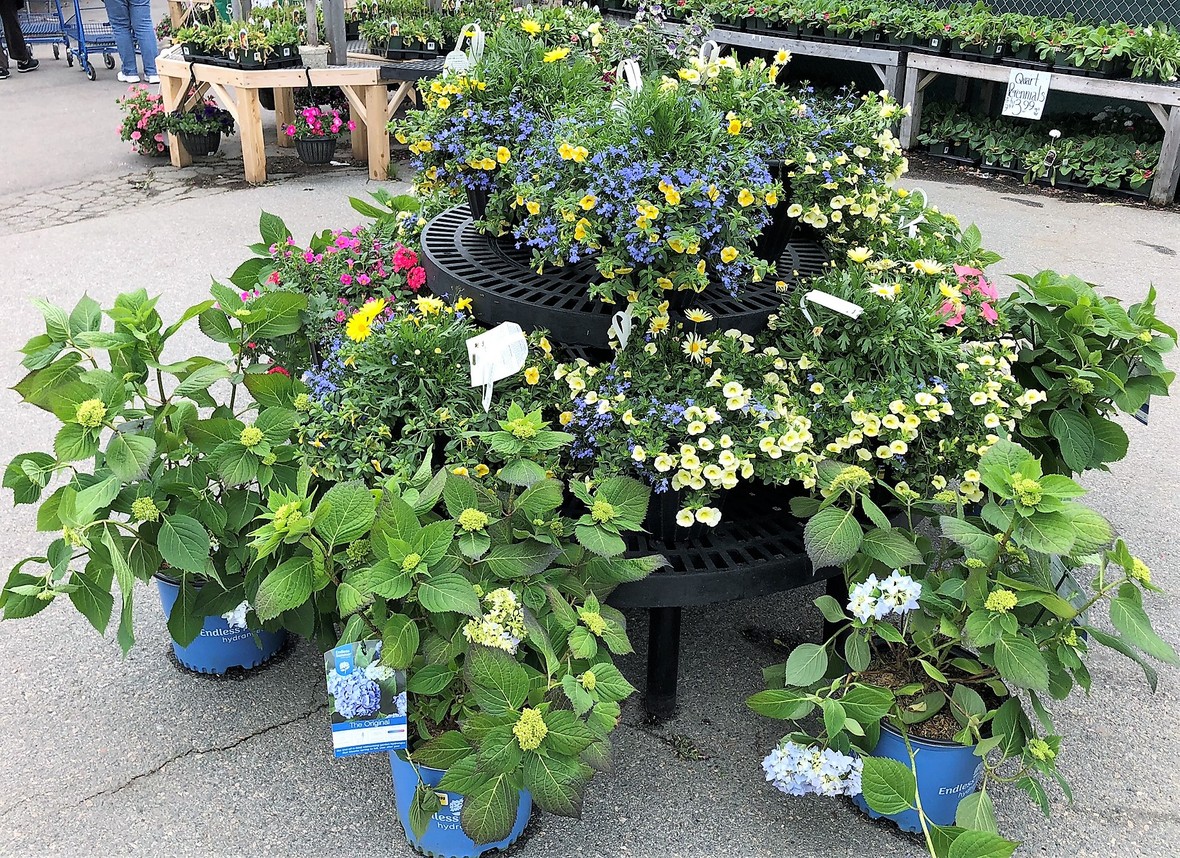 Don't Miss Klein's Massive Selection