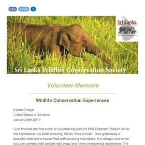 Volunteer Memoirs - wildlife conservation experiences