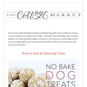 Quick &amp; Easy No Bake Dog Treats &amp; Beautiful Free Pet Printables